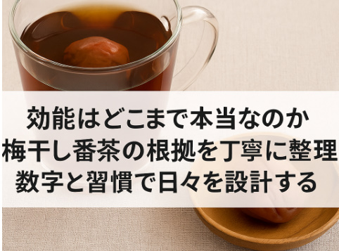 梅干し番茶効能